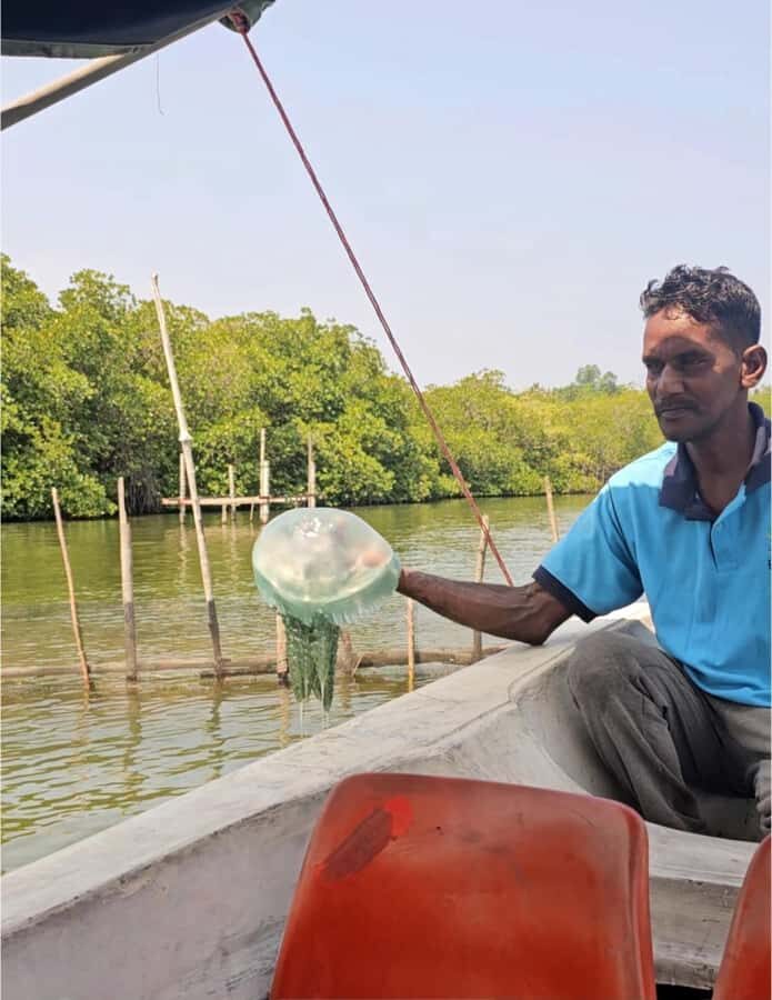 Bentota River Safari -Ahungalla/Bentota/Aluthgama/Kosgoda - Pickup and Drop-Off: Easy, Focused Logistics