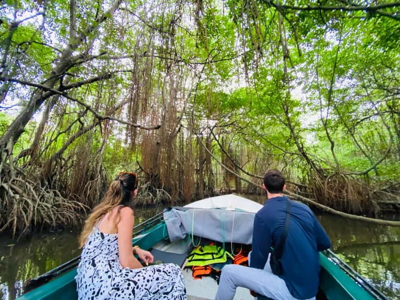 Bentota River Safari: Discover Wildlife & Mangroves by Boat - From Pier88 Car Park to the boat: logistics that keep it stress-free