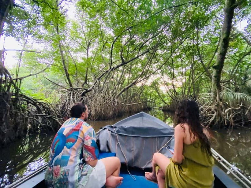 Bentota River Safari: Discover Wildlife & Mangroves by Boat - Comfort and practical packing: sun, camera, and what to bring