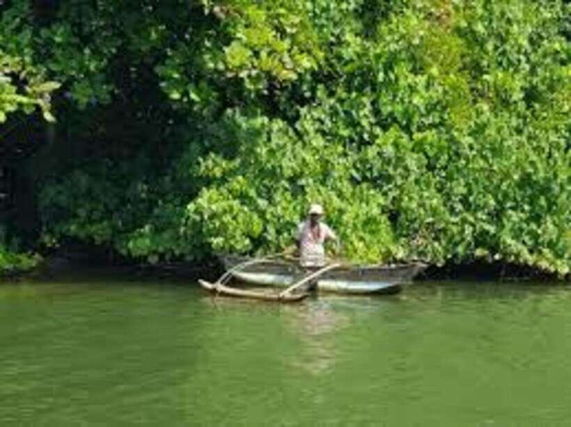 Bentota: River Safari with Hotel Pickup and Drop-Off - Bentota River Safari: Key Moments That Make It Worth Your Time