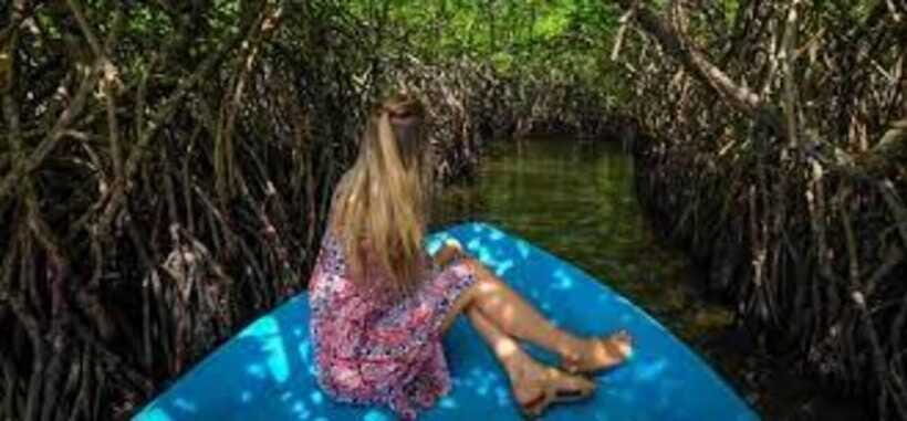 Bentota: River Safari with Hotel Pickup and Drop-Off - The 2-Hour Itinerary Rhythm: Break Time, Photos, Guided Spotting