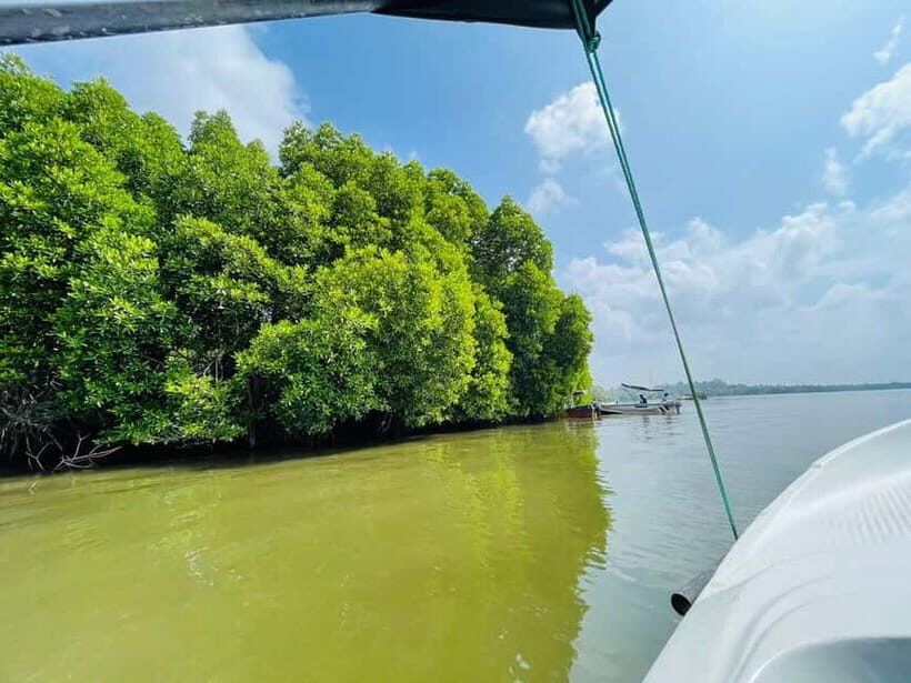 Bentota: River Safari with Hotel Pickup and Drop-Off - What to Pack for a Comfortable Mangrove Boat Ride