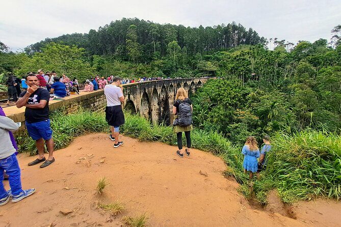 Best of Ella - Full Day, Private & Customize Tour - Who this private Ella day tour is for (and who it isn’t)