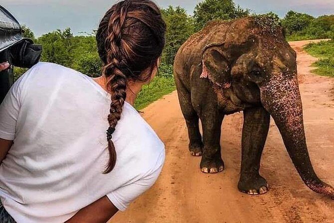 Best Of Sri lanka Tour (06 Days 05 Nights) - Kandy- N.Eliya -Bentota-Colombo - Key highlights to know before you go