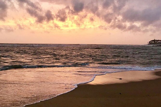 Best Of Sri lanka Tour (06 Days 05 Nights) - Kandy- N.Eliya -Bentota-Colombo - Kandy Day Tour: Tooth Relic Temple, city views, and tea-country planning