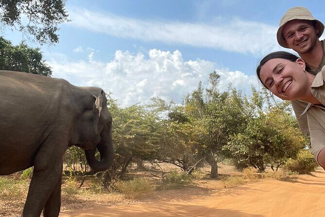 Best Value Yala Safari: Spot Leopards, Elephants & Bears (Shared) - Yala by shared jeep: why this format works