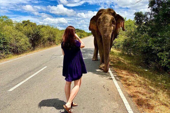 Best Yala Shared Leopard Safari: Tissamaharama Wildlife Tours - What I like most about this Yala safari