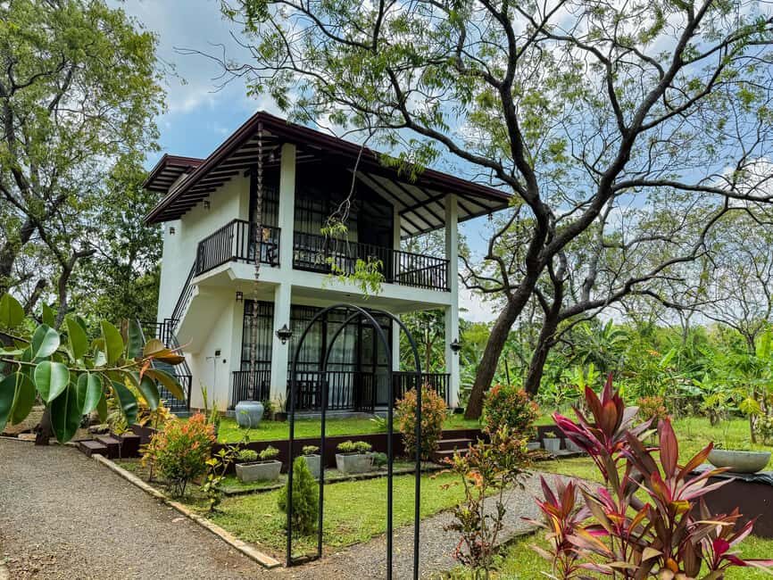 Budget Yala Safari with Accomadation & Meals Included - How the budget price works: $25 plus the Yala gate fee