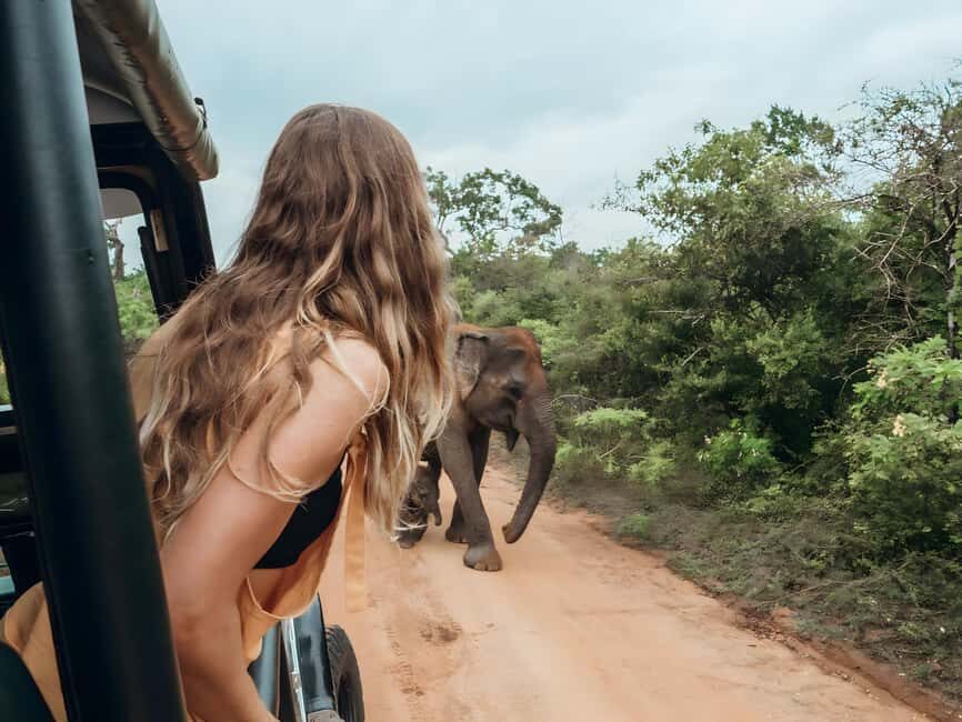 Budget Yala Safari with Accomadation & Meals Included - Meals included: rice and curry from an eco-friendly open kitchen
