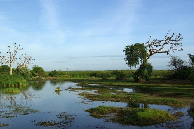 Bundala National Park by Ajith Safari - Bundala’s wildlife odds: why early starts matter