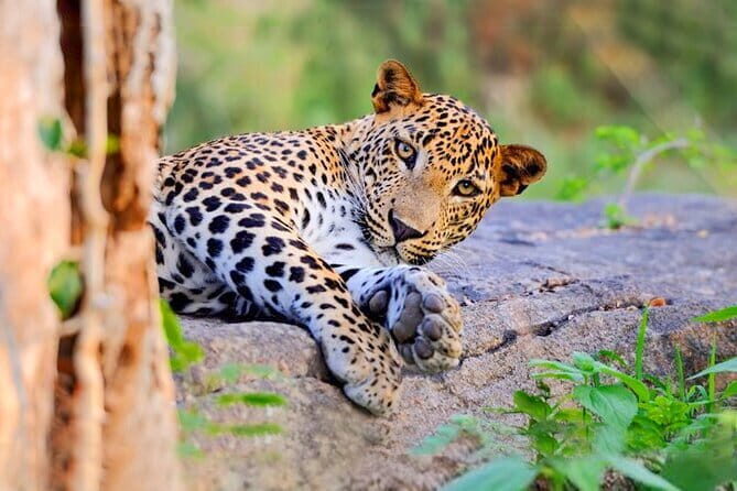Bundala National Park by Ajith Safari - Pathiraja beach break: why this pause feels like part of the safari