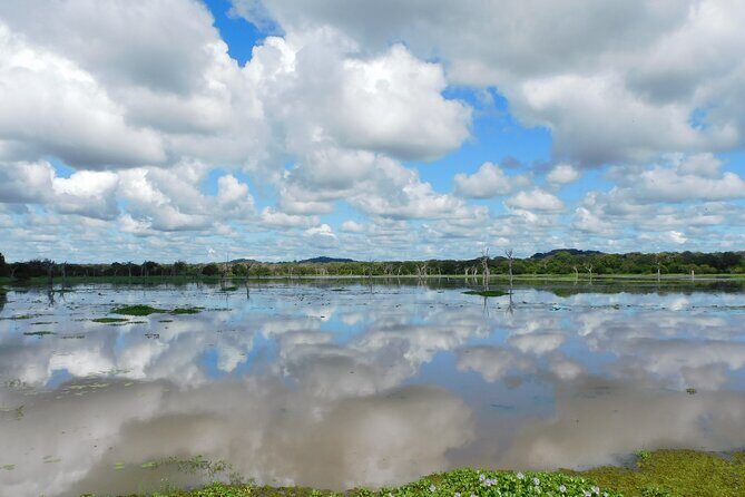 Bundala National Park : Safari Tour with Entrance tickets & Jeep - The main stop inside the park: how the guided safari actually plays out