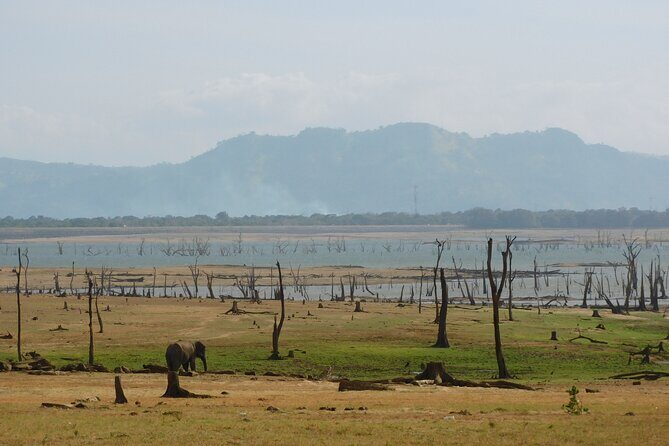 Bundala National Park : Safari Tour with Entrance tickets & Jeep - Comfort, drinks, and the “heat reality” of Sri Lanka