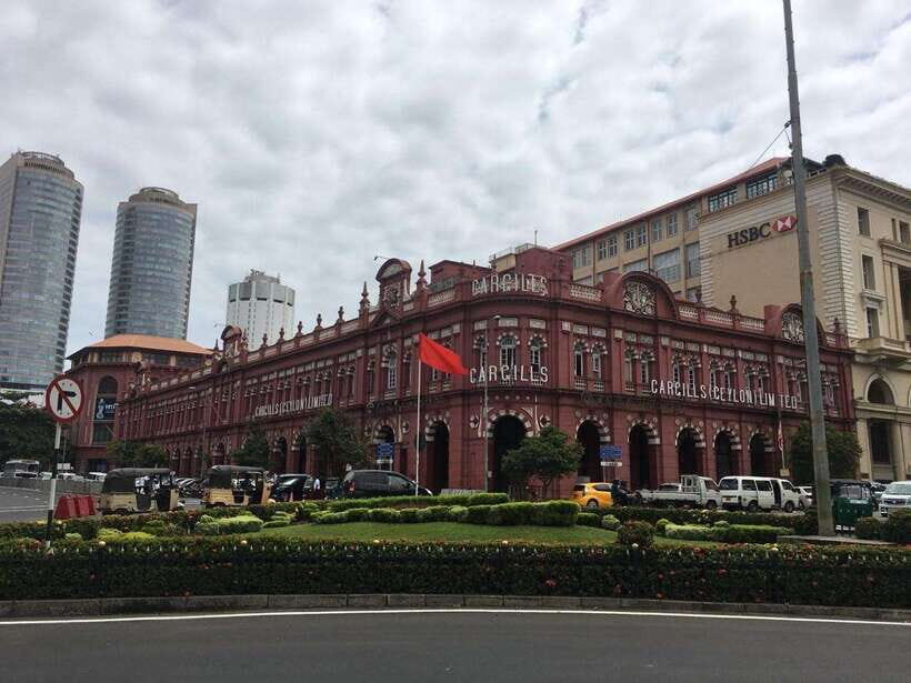 Ceylon Tea Experience from Colombo Port Passenger Terminal - Tea plantations and tea plucking: what the short stop really means
