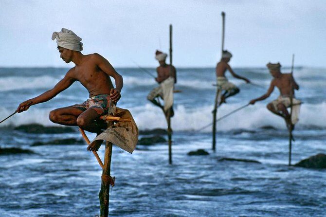 Colombo Airport to Mirissa Taxi (private arrival transfer) - Optional Photo and Sightseeing Stops Along the Way