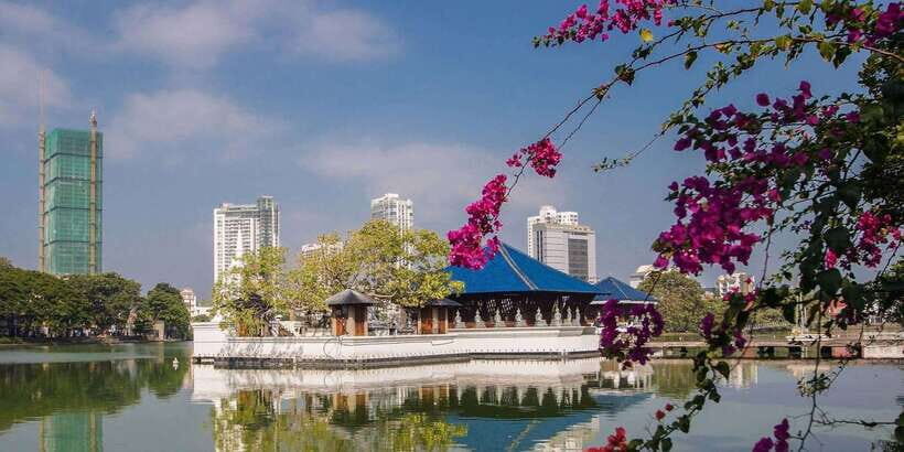 Colombo: All-Inclusive Morning & Afternoon Private City Tour - How the 4-hour private format actually plays out