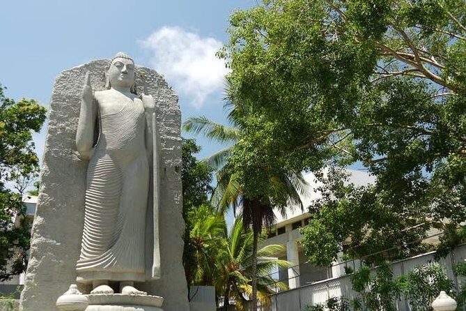 Colombo City Tour from Negombo - The Real Value of Private Timing (and When It Can Feel Rushed)