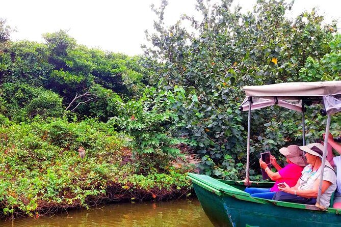 Colombo City Tour (small group with pickup from Cruise ship) - Guide and vehicle: small-group pacing without the hard sell