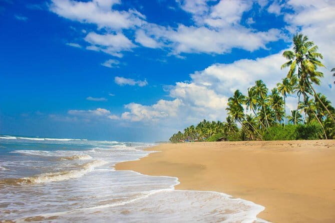 Colombo (CMB) Airport to Kandy City Private Transfer - Should you book this transfer?