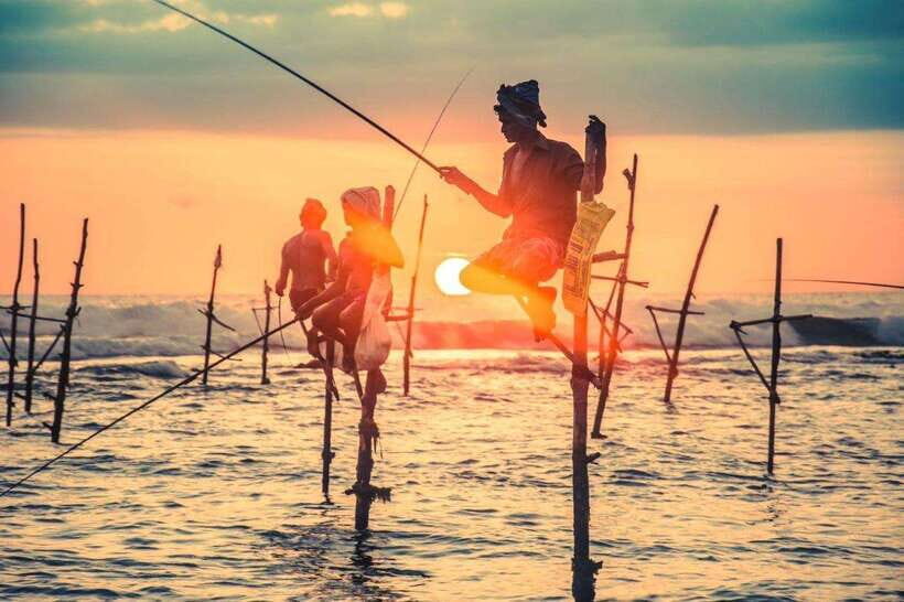 Colombo-Galle Fort, Boat Safari, Turtles, Amazing Group Tour - Key Points to Know Before You Go