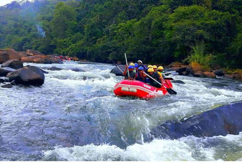 Colombo/ Negombo: Kithulgala White Water Rafting Adventure - Key things that make this Kithulgala rafting run worth your time