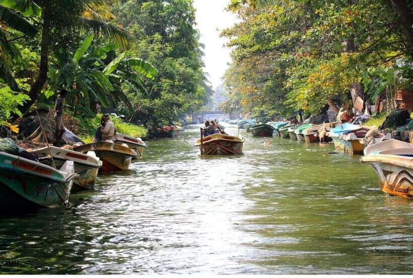 Colombo/Negombo: Muthurajawela & Dutch Canal Boat Adventure - Key highlights to look forward to