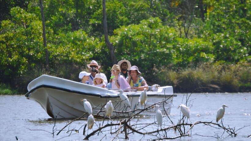 Colombo/Negombo: Muthurajawela & Dutch Canal Boat Adventure - 11:00 Return to Your Hotel: The Pace Works