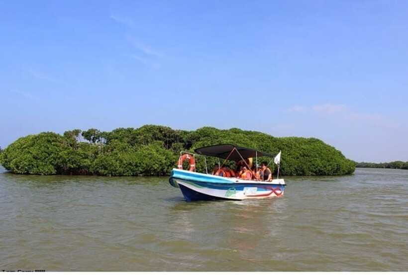 Colombo/Negombo: Muthurajawela & Dutch Canal Boat Adventure - What You Get for $85: Value, Inclusions, and Real Costs Covered