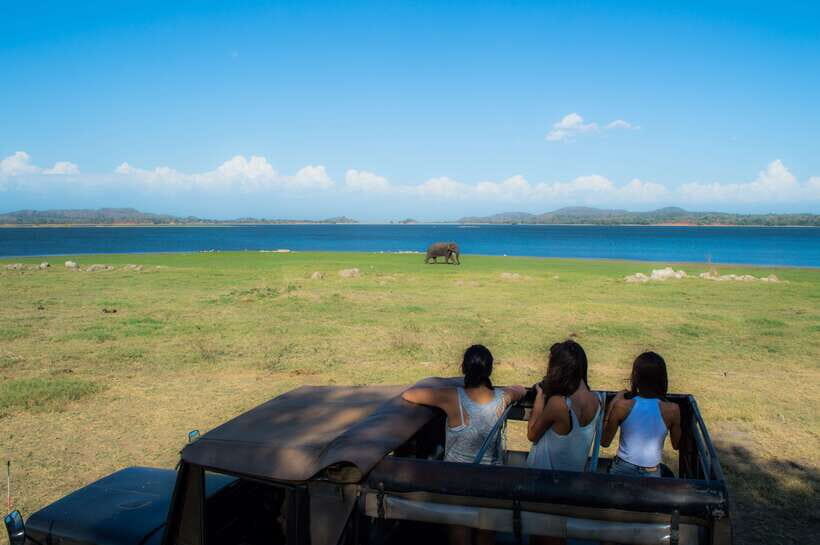 Colombo/Negombo: Sigiriya, Dambulla, and Minneriya Safari - Should you book Colombo/Negombo to Dambulla, Sigiriya, and a Minneriya Safari?