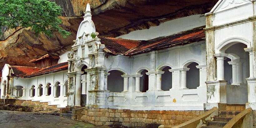 Colombo/Negombo to Sigiriya, Dambulla & Jeep Safari Day Tour - The wild jeep safari: where the day can suddenly get exciting