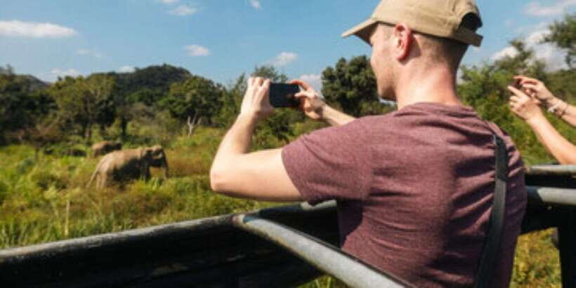 Colombo/Negombo to Sigiriya, Dambulla & Jeep Safari Day Tour - Price and value: what you’re really paying for