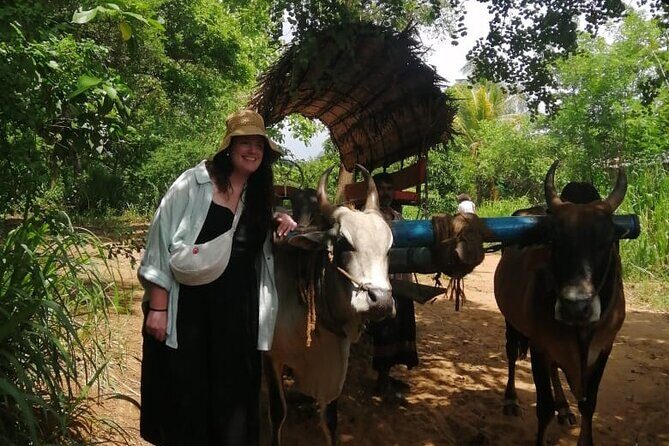 Colombo , Negombo to Trincomalee Transfer and Safari - Morning pickup, mobile ticket, and the snack that keeps you moving