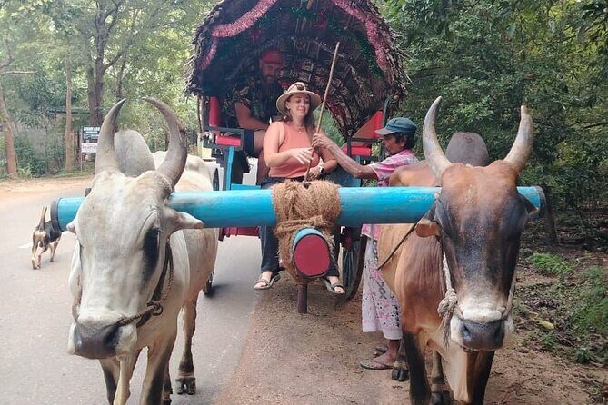Colombo , Negombo to Trincomalee Transfer and Safari - What the guide and driver do for you (and why it matters)