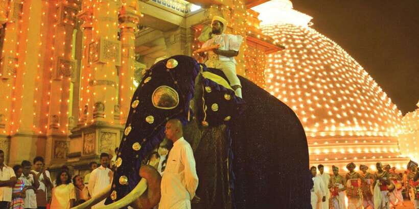 Colombo Port Shore Excursions Colombo City & Kalaniya Temple - Why this Colombo shore route makes sense in 4 hours