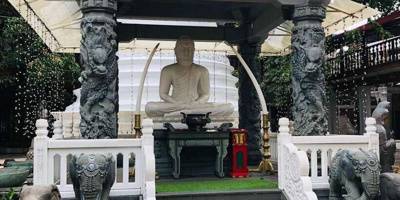Colombo privet Day Tour and shopping - City viewpoints and mosque photo stops: small moments, big context
