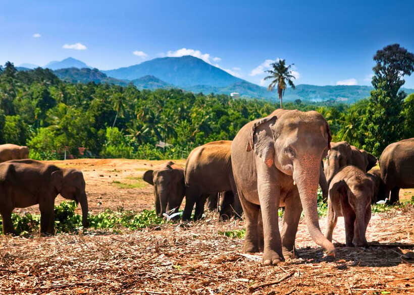 Colombo: Sri Lanka Cultural Triangle Hotspots 2-Day Tour - Hotel, Transport, and What You Should Bring