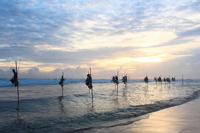 Colombo to Galle All Inclusive Private Day Tour - A day tour that strings together Galle, river, and turtles