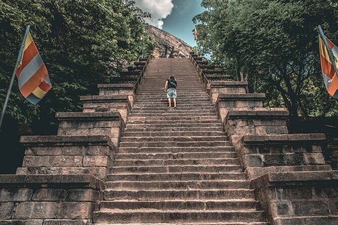 Colombo to Kandy Shuttle with Dambulla Sightseeing Tour - Price and value: what $100 buys you, and what it doesn’t