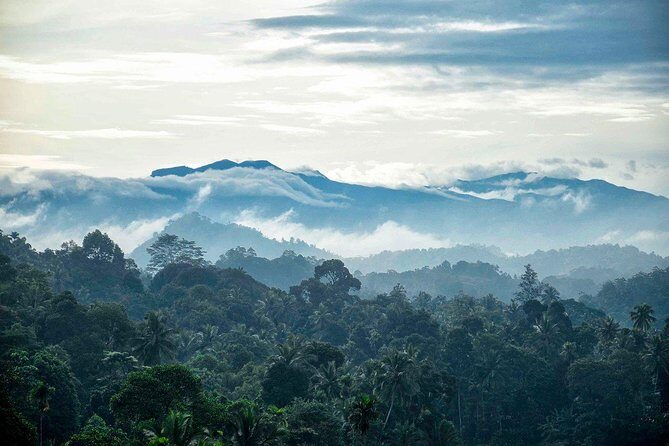 Colombo to Kandy Train Tickets (Reserved Seats) - Key highlights worth knowing