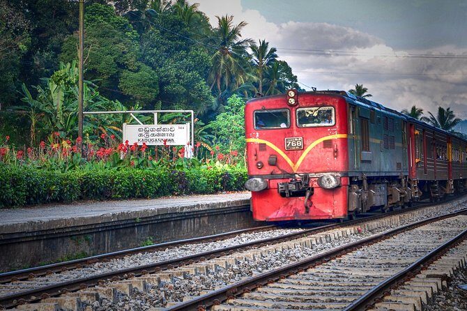 Colombo to Kandy Train Tickets (Reserved Seats) - Pickup and Meeting Point: Connecting Smoothly in Kandy