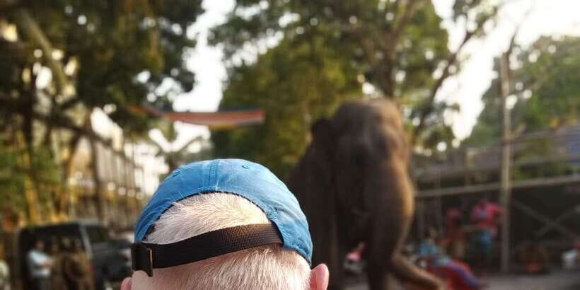 Colombo Tuk Tour with Food and Drinks(morning and evening) - A 3.5–4 hour Colombo ride that starts at your hotel