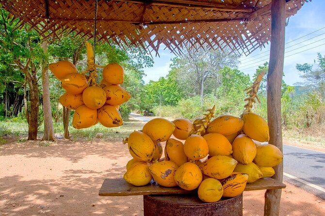 Colombo Tuk Tuk Adventure Explore Food & Culture - Ceylon Tea Supermarket: The Tasting That Makes the Whole Trip Click