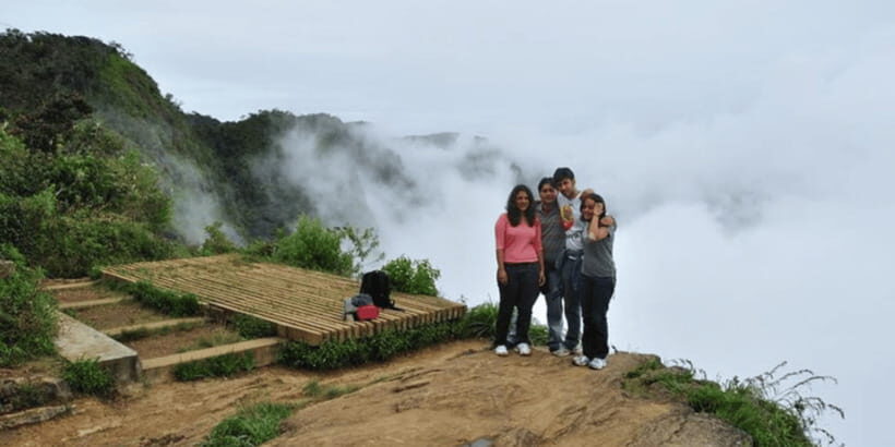 Comprehensive Excursion: Horton Plains and Pedro Tea Factory - Key highlights you will care about