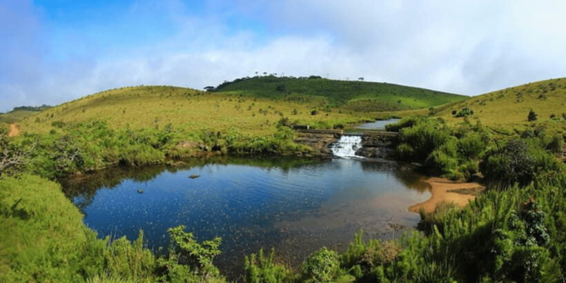 Comprehensive Excursion: Horton Plains and Pedro Tea Factory - Horton Plains National Park: UNESCO plateau time, not just a photo stop