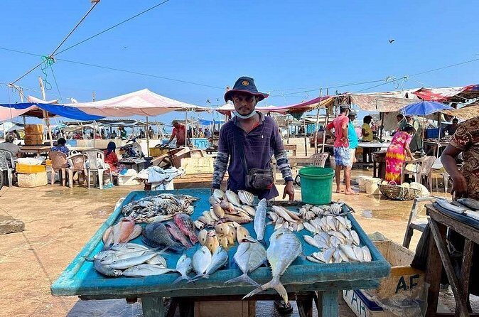Cooking Class and Market Visit in Negombo - Market Visit in Negombo: Picking Fish, Produce, and Spices You’ll Actually Cook