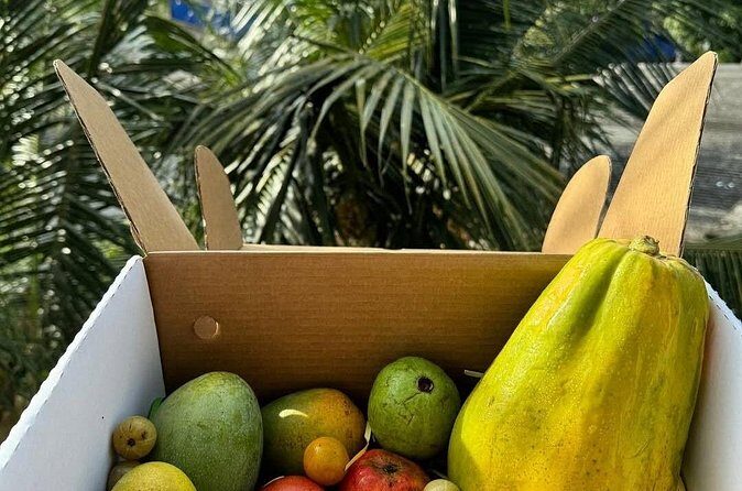 Cooking Class and Market Visit in Negombo - Price and Value: Getting a Full Meal and Real Ingredient Skills for $70