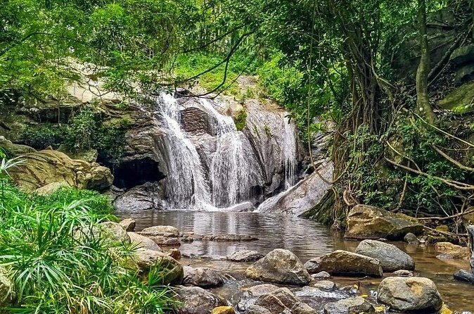 Customized Multi-Day Private Tour Packages in Sri Lanka - Day 2: Kandy’s Temple of the Sacred Tooth, gardens, and hill views