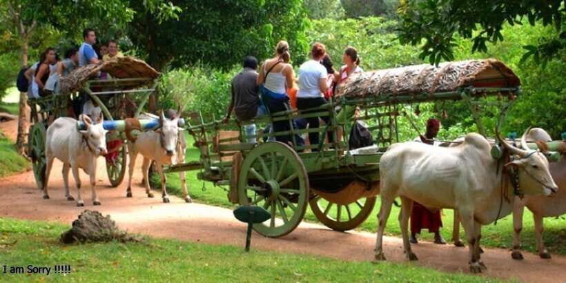 Dambulla: Caves Temple & Traditional Village Tour with Lunch - Entering the Dambulla Cave Temple Above the Cliffs
