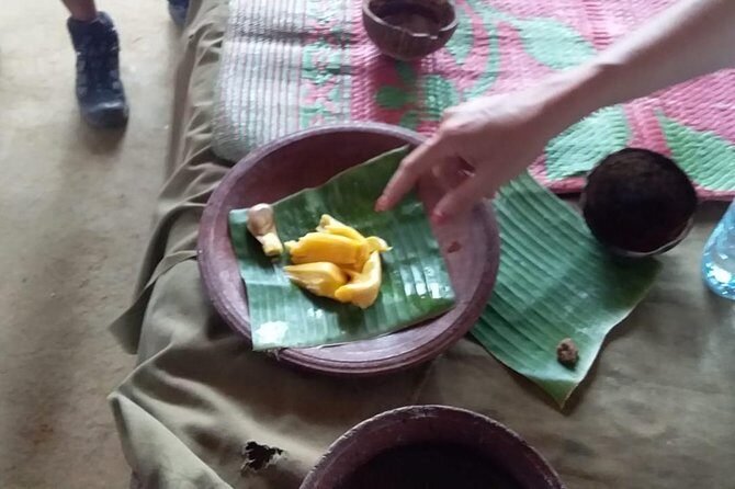 Dambulla & Sigiriya Day Tour from Colombo / Negombo with Lunch - What’s included vs what you’ll pay once you arrive