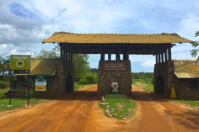Day Excursion to Yala National Park From Colombo - Key highlights you’ll care about